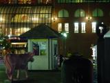 Late Evening Cow Walk, Long Wharf