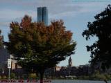 Curious Tree, from MIT