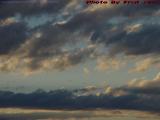 Free Birds in the Sky, East Boston