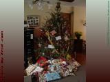 Christmas Tree, Groveland, NY