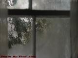 Icy Afternoon Sun Window, Groveland, NY