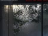 Icy Afternoon View, Groveland, NY