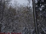Sun at the Top, House Gully, Groveland, NY