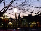 Brisk Dawn Branches, Mass. Ave.