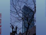 John Hancock Tower Through Bare Spring Trees