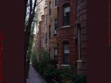 Spring Afternoon, Saint Germain Street