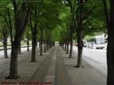 Shaded Path, Christian Science Plaza at Huntington Ave.