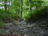 Dry Gully, Groveland, NY