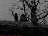As From A Grave, Salem, Mass.  Happy Halloween!