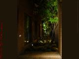 Window Garden at Night, Cambridge