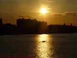 Late Afternoon Shell, Charles River