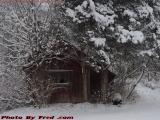 Seed House In Snow, Groveland, NY