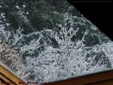 New Snow Through The Skylight, Harvard, Mass.