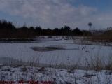 Low Water in the Pond, Groveland, NY