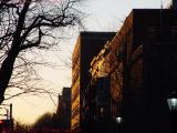Sunlit Late Winter Facades, Commonwealth Avenue, Boston
