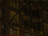Wet Branch Study, Arlington Street, Boston