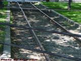 Trapped Tracks, Arlington Center