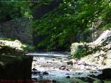 Secluded Waterway, off Minuteman Bikeway, Arlington