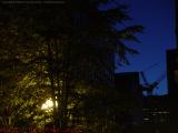 Crane with Dawn and Street Light, Park Plaza, Boston
