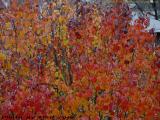 Autumn Bouquet from the Third Floor Deck, Medford, Mass.