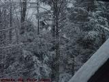 Winter Wonderland, Harvard, Mass.