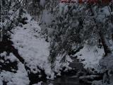 Winter Brook, House Gully, Groveland, NY
