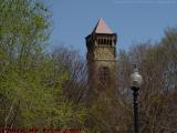 Early Spring Leaves and Steeple, Commonwealth Ave., Boston