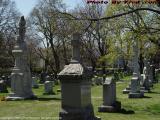 Ladies Waiting, Graves at St. Paul Cemetary, Arlington