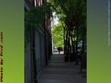 Commercial Street in the Morning, Boston's North End