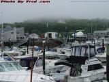 Low Tide, Morning Fog, Cape Ann Marina, Gloucester