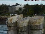 Mooring Posts, Casco Bay, Maine