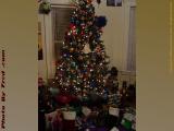 Christmas Tree and Gifts, 302 Boston Ave., Medford, Mass.