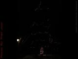 Christmas Lights # 15, Trees Large & Small, Saugus, Mass.