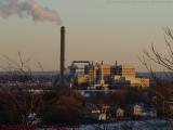 Waste Management, from Dell Court, Lynn, Mass