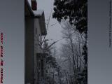 Winter Perspective, Groveland, NY