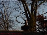 Morning Perspective, Dell Court, Lynn, Massachusetts