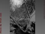 Winter Waterway in Grey, House Gully, Groveland, NY