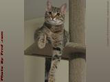 Penny Posing For Her First Birthday, Lynn, Massachusetts