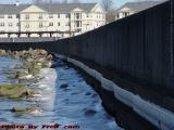 Sea Wall With Ice And Gulls, Salem, Massachusetts