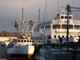 Edge Lit Docked Fishing Boats, Gloucester, Massachusetts