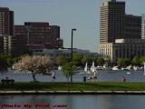 Afternoon Recreation, Esplanade, Charles River, Boston