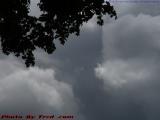 Cloudscape With Silhouetted Branches