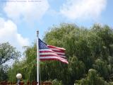 Summer Afternoon Flag, Boston Public Garden
