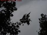 Lone Goose Under Heavy Clouds, Groveland, New York