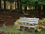 Romantic Bench, Lynn Woods Rose Garden, Lynn, Mass.