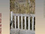 Forgotten Park Benches, Preston Beach, Swampscott, Mass.