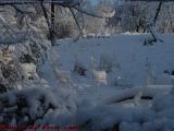Holiday Decorations in New Snow, Lynn, Massachusetts