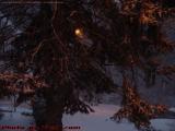 An Evening Winter Storm Begins, Lynn, Massachusetts