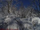 The Morning After's Burden of Snow, Lynn, Massachusetts