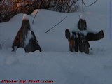 Jesus and Mary Praying Relief From Snow? Lynn, Mass.